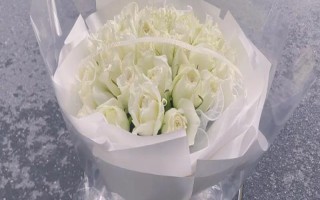 33朵白玫瑰代表的意思，寓意三生三世、美好的回憶等
