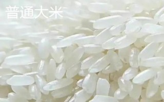 小米出蟲了還能吃嗎，把蟲子驅(qū)趕后便可食用