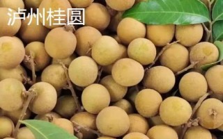 哪里產(chǎn)出的桂圓又甜又好吃，樓壩桂圓清甜可口深受消費(fèi)者歡迎