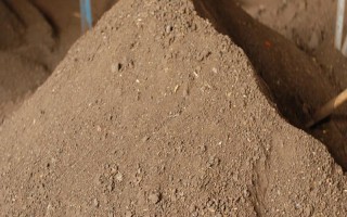 狗糞能不能直接埋土里當(dāng)作花肥，直接使用容易引發(fā)病害
