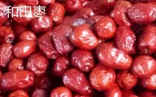 黑棗的產(chǎn)地，產(chǎn)于河北、山西、陜西等省份
