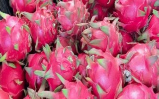 什么是紅心火龍果，屬于常見的火龍果品種、因果肉呈深紅色而得名