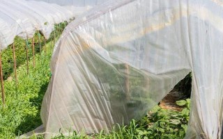 先進的農(nóng)用薄膜有哪些，有輕薄型薄膜、多用途薄膜等