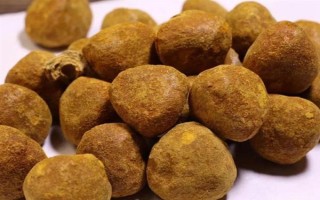 牛黃是如何形成的，是膽汁中的膽固醇形成的粒狀物