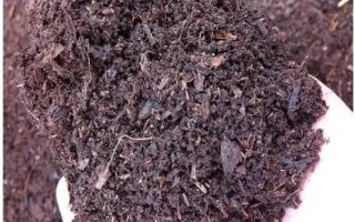 基肥是什么肥料，指的是在作物播種前所施用的肥料