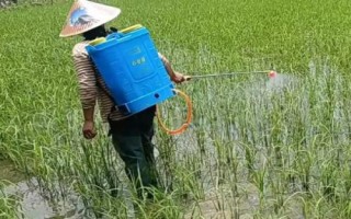 炔螨特的使用注意事項(xiàng)，需要做好防護(hù)措施