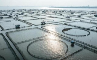 塞內(nèi)加爾海域漁業(yè)資源豐富是什么原因，當(dāng)?shù)貧鉁剡m宜