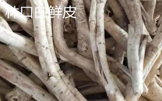 黑龍江省林口縣的特產(chǎn)，滑子蘑深受國(guó)內(nèi)外消費(fèi)者的喜愛