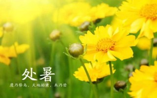 處暑過后天氣還熱不熱，受到秋老虎的影響依然會熱一段時間
