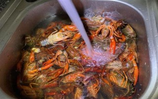 養(yǎng)殖的小龍蝦是不是比野生的干凈，人工養(yǎng)殖的水質(zhì)條件更好