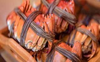 24小時(shí)之內(nèi)死了的螃蟹能不能吃，需要根據(jù)保存條件決定