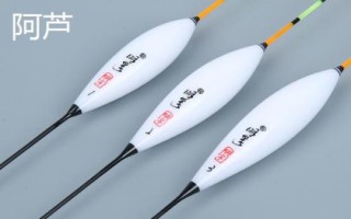 口碑好的十大浮漂，不同品牌各有優(yōu)劣勢(shì)