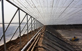桑黃的種植技術(shù)，最佳的出菇溫度在25-30℃之間
