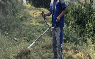 柑橘園雜草如何防控，可用化學(xué)藥劑除草也可以草治草