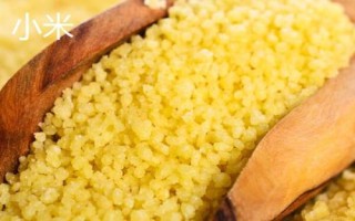 小米出蟲了還能吃嗎，把蟲子驅(qū)趕后便可食用