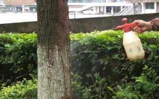 如何防治黃粉蟲，可刮樹(shù)皮或使用藥劑