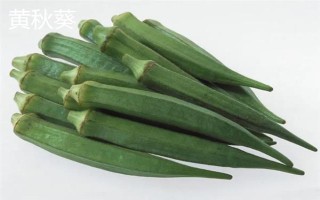 黃秋葵和綠秋葵的區(qū)別，二者沒有區(qū)別