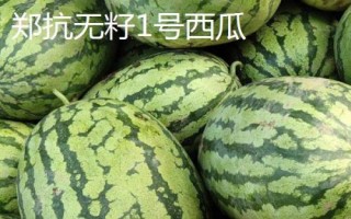 早春紅玉西瓜有沒有籽，屬于早熟有籽品種