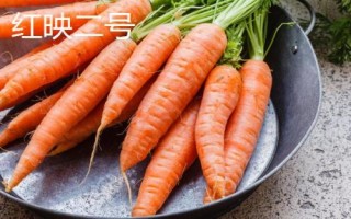 胡蘿卜是什么季節(jié)的蔬菜，屬于秋冬季蔬菜但一年四季可吃到