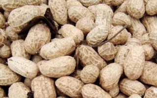 半陰半陽(yáng)適合種什么蔬菜，可以種韭菜、空心菜、蠶豆和花生等