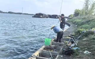 釣泥鰍怎么快速上鉤，使用鮮活的蟲餌具有良好效果