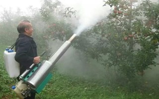 哪種蔬菜不能使用尿素，對(duì)芹菜使用尿素會(huì)降低品質(zhì)