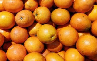麻陽(yáng)冰糖橙還是贛南臍橙更好吃，主要取決于個(gè)人口味