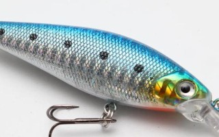 釣虹鱒魚一般用什么路亞餌，常用的擬餌有鉛頭鉤釣組、亮片等