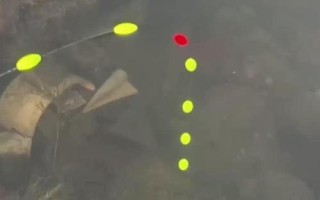 七星漂流水能釣魚嗎，在流水中用七星漂無(wú)法觀察漂相