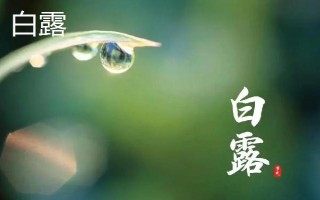 2024年寒露是哪一天，2024年10月8日