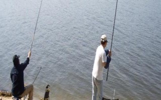 釣江團(tuán)的技巧，夏季、初秋等氣溫高的晚上是作釣的黃金時(shí)間