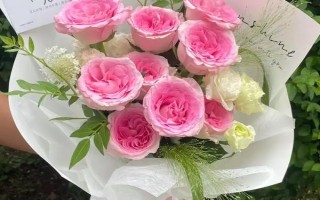 粉色洛神玫瑰花的花語是什么，寓意初戀、甜美、純真等