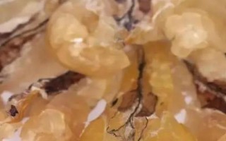 雪蛤的價(jià)格，油塊大小會(huì)影響到售價(jià)