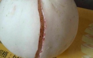 甜瓜化瓜的原因，溫濕度不穩(wěn)定或管理不當(dāng)都會導(dǎo)致