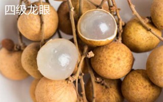 龍眼的主產(chǎn)地，主產(chǎn)于臺(tái)灣、福建、廣西等省份
