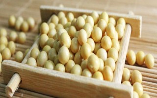 桂夏6號大豆品種簡介，畝密度1.3～1.5萬株為宜