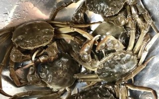 24小時(shí)之內(nèi)死了的螃蟹能不能吃，需要根據(jù)保存條件決定