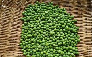 豌豆可以用冰箱保存嗎，放在冰箱中可延長保質(zhì)期