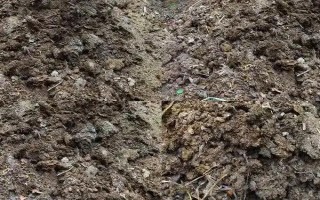 基肥是什么肥料，指的是在作物播種前所施用的肥料