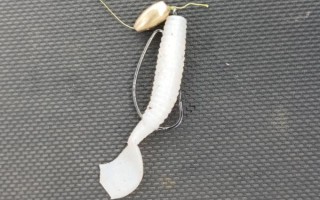路亞鱖魚的操作技巧，建議用M或MH路亞竿