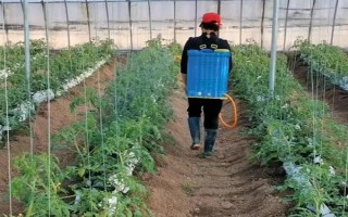 惡霉靈如何使用，可浸種、拌種等