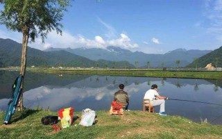 釣魚下午是釣深還是釣淺，一般是釣深