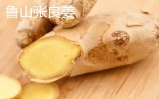 河南魯山縣的特產(chǎn)，張良姜種植歷史悠久