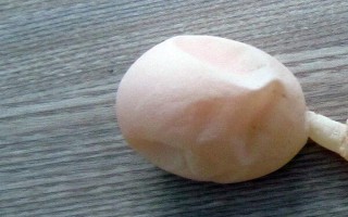 鵝生軟殼蛋的原因，可能是得了吸蟲病或缺素導(dǎo)致的