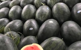 黑美人西瓜的產(chǎn)地，主產(chǎn)區(qū)有海南、廣西南寧、寧夏銀川、陜西渭南等地區(qū)