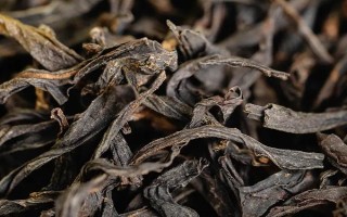 鳳凰單叢屬于紅茶還是綠茶，屬于烏龍茶