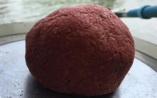 六月份能釣鯉魚，六月份的垂釣效果比較好