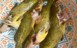 怎么清洗黃骨魚，用水沖洗后再用開水燙一下