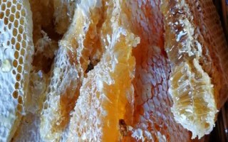 蜂蜜涂臉后要不要洗掉，變干后的蜂蜜容易吸收皮膚水分