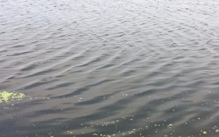 魚塘缺氧的原因，高溫、飼養(yǎng)密度大、淤泥過深等因素均會造成
